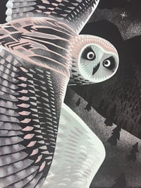 Image 5 of The barn owls night