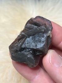 Image 9 of Pakistan Black Rose Fluorite UV Specimen #2430