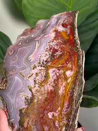 Image 3 of AGUA NUEVA AGATE SLAB C