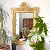 Gilded French antique mirror 