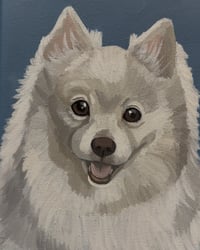 Custom Pet Portrait 