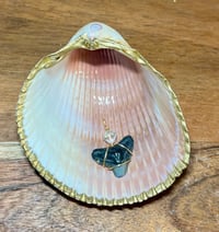 Image 2 of Shark Tooth Necklace ST110