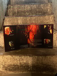 Image 3 of LP Opeth «Still Life» LTD