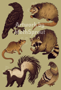 Image 9 of Urban Trash Animals Sticker Sheet 4 x 6”