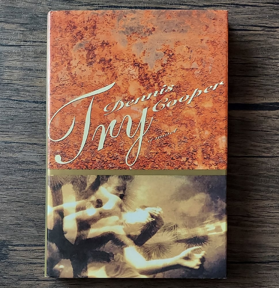 Try, by Dennis Cooper - first edition
