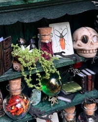 Image 2 of Green Shelf (Medium)