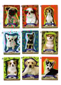 Image 3 of nintendogs merch