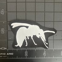 Image 5 of Patches