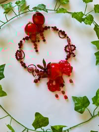 Image 11 of 🩸♥️Pomegranate Blood♥️🩸 Zygopetalum