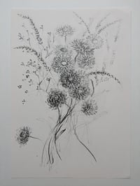 Dried stems III