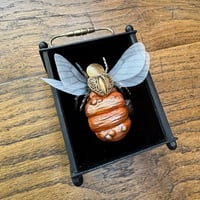 Image 3 of Pumpkin bee (c, 3 x 4 inches)