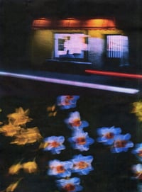 Image 4 of NIGHT DRIVE DAFFODILS - classic black tee