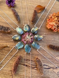 Image 1 of ✨WHOLESALE✨ Simple Labradorite Gem Drop Necklace
