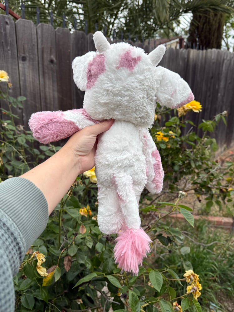 Image of Strawberry cow