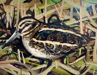 Jack Snipe