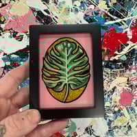 Monstera- Mini Glass