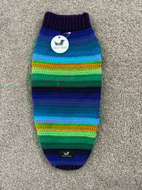 Image 1 of Snazzy Peacock