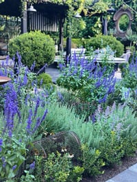 Image 3 of Oval Garden Cloche House