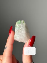 Image 9 of GREEN TOURMALINE IN QUARTZ