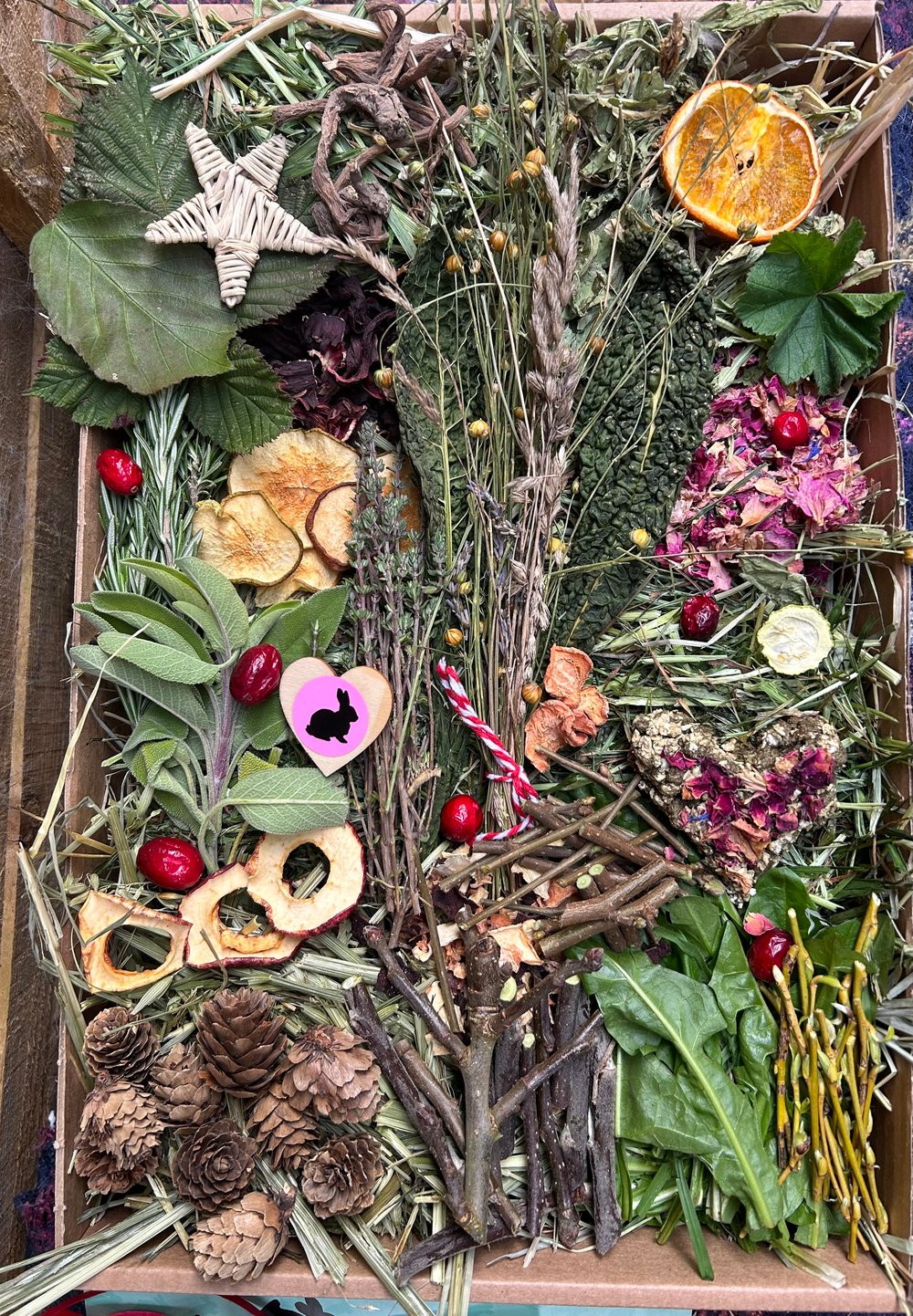 Image of Mystery seasonal Kraft tray filled with fresh forage, treats and enrichment