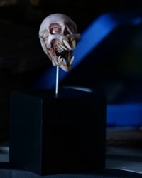 Image 21 of Vampire fetal skull, original art, dark academia