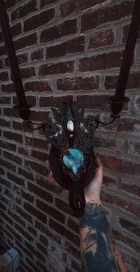 Image 1 of Empress Coyote skull candelabra 