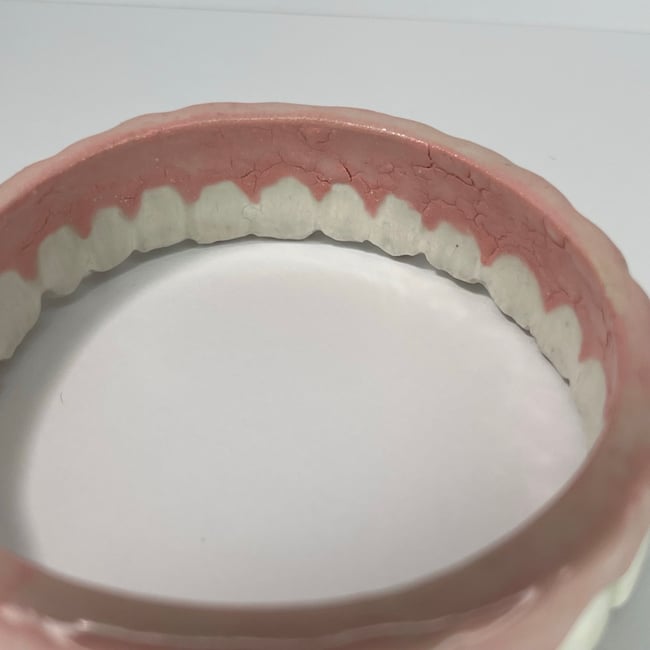 Teeth Bracelet Three - 8 in Inner Diameter