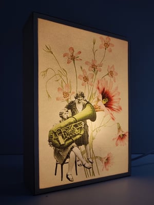 Image of Concierto entre las flores.