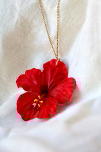 Image 3 of Collar hibiscus 