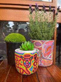 Image 1 of Ceramic Plant Pot (Made To Order)
