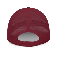 Image 4 of nukeplex™ 3 is a company Hat