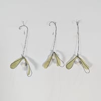 Image 2 of Ruth Proud Decorations