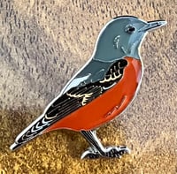 Image 2 of Rock Thrush - No.95 - UK Birding Pins - Enamel Pin Badge