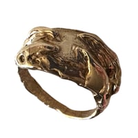 Image 2 of Talons of Brass