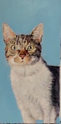 Image 3 of Cats