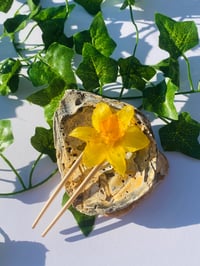 Image 3 of 🌼Daffodil Hair Pin🌼