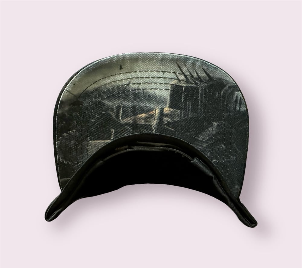 Anomalistic - Snapback