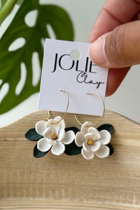Magnolia Drop