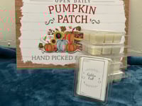 Image 1 of Golden pumpkins wax melts