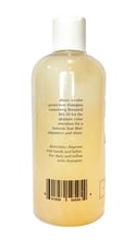 Shampoo Color Protection (French Lavender)