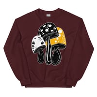 feraldreamer maroon shrooms