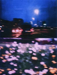 Image 4 of NIGHT DRIVE, DAFFODILS I