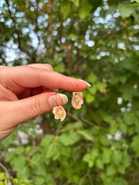 Image 6 of Gold Shell Hoops