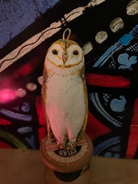 Image 1 of Twig the owl