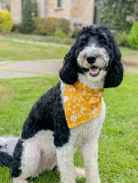 Image 3 of Cow Dog Bandana