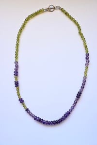Image 1 of Eartha necklace #35