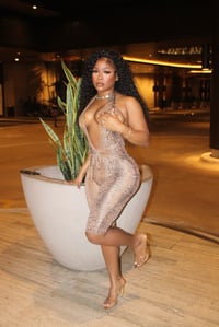 Image 3 of The Exotic Jumper 