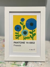 Freesia Pantone