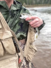 Image 1 of Bull Elk Old School Packable