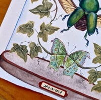 Image 6 of January Dome, Under Glass Collection